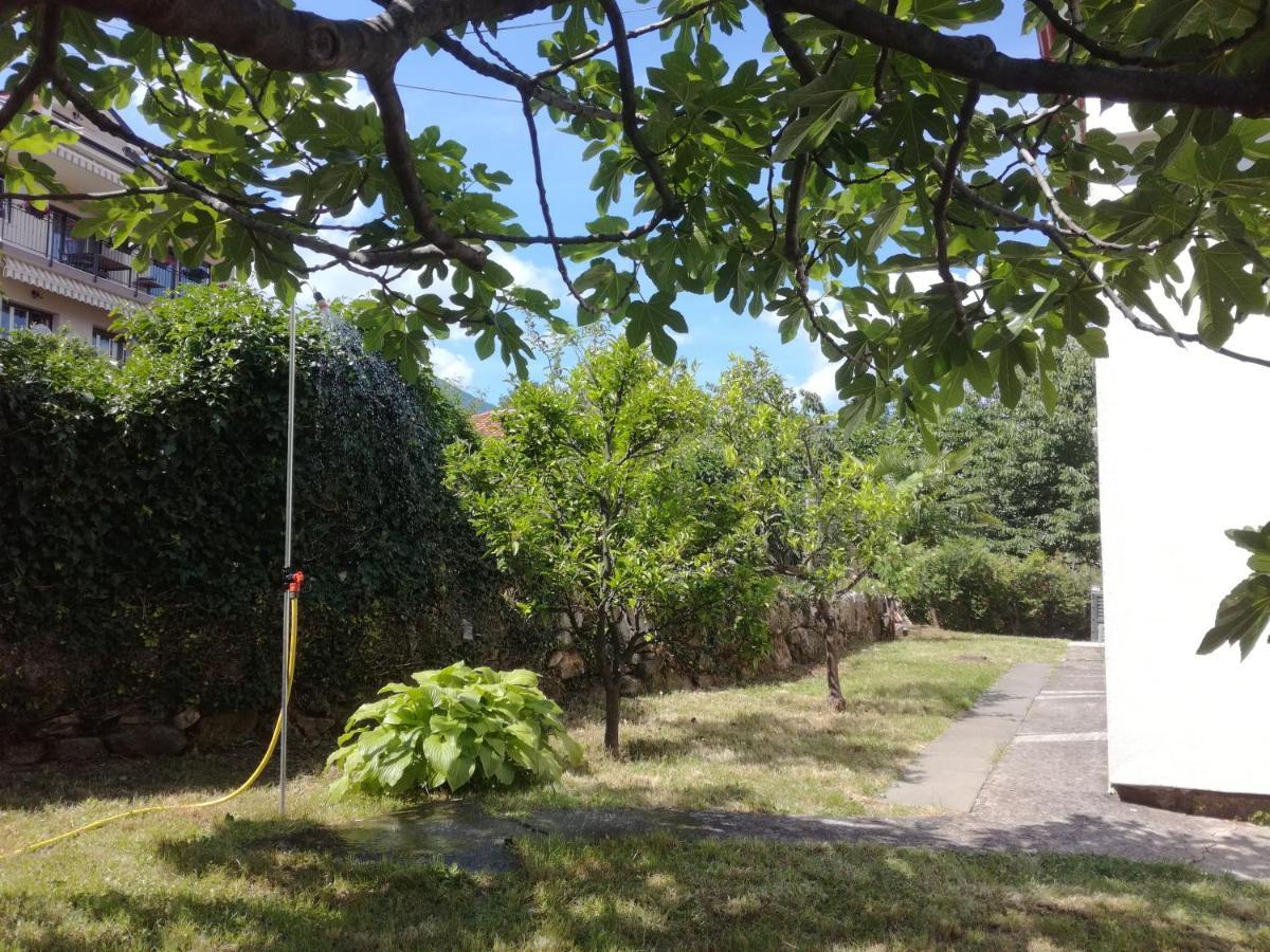 Apartmán Garden